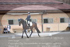 ref. photo 3149913