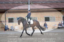 ref. photo 3149914