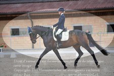 ref. photo 3149915