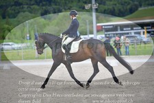 ref. photo 3149916