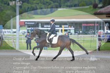 ref. photo 3149922