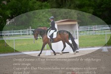 ref. photo 3149927