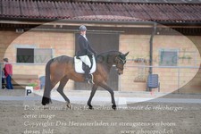 ref. photo 3149936