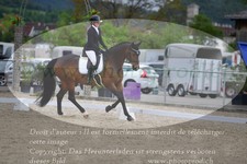 ref. photo 3149941