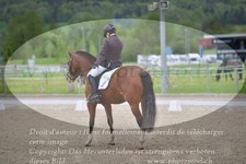 ref. photo 3149991
