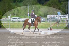 ref. photo 3150003