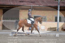 ref. photo 3150005