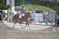 ref. photo 3150006
