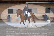 ref. photo 3150007