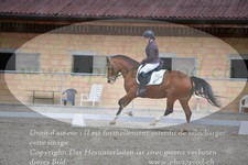 ref. photo 3150016