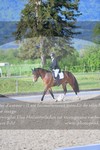 ref. photo 3150021