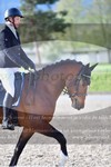 ref. photo 3150027