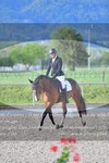 ref. photo 3150032