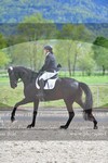 ref. photo 3150039