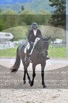 ref. photo 3150079