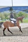 ref. photo 3150088