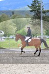 ref. photo 3150089