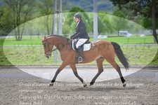 ref. photo 3150092