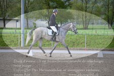 ref. photo 3150099
