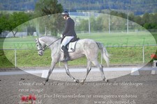 ref. photo 3150107
