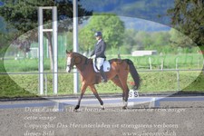 ref. photo 3150120