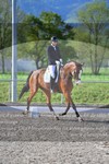 ref. photo 3150123