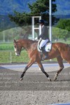 ref. photo 3150126