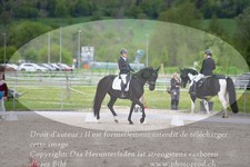 ref. photo 3150153