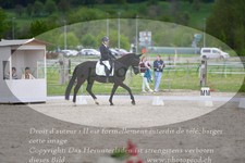 ref. photo 3150158