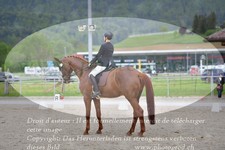 ref. photo 3150162
