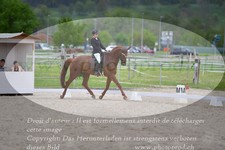 ref. photo 3150164