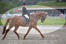 ref. photo 3150169