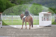 ref. photo 3150171