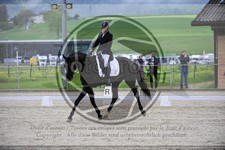 ref. photo 3589997