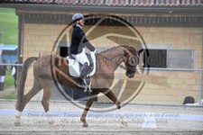 ref. photo 3590104