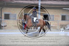 ref. photo 3590122