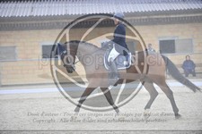 ref. photo 3590161