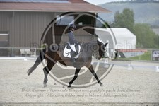 ref. photo 3590220