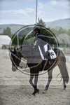 ref. photo 3590229