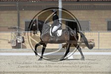 ref. photo 3590268