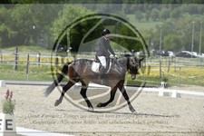ref. photo 3590270