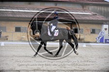 ref. photo 3590387