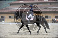 ref. photo 3590390