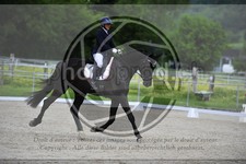 ref. photo 3590394