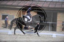 ref. photo 3590399