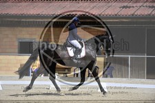 ref. photo 3590418