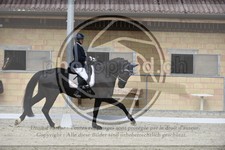 ref. photo 3590431