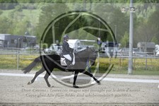 ref. photo 3590435