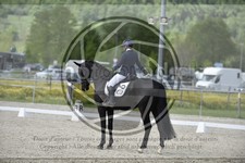 ref. photo 3590439