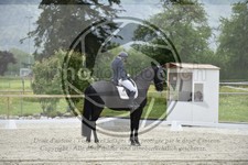 ref. photo 3590450
